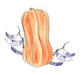 Watercolor illustration of an orange pumpkin with purple bean pods isolated on a white background. for the invitations design