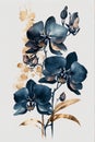 Watercolor illustration of orchids in dark blue and gold with a white background Royalty Free Stock Photo