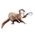 Watercolor illustration of otter with cup of coffee, isolate.