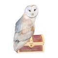 Watercolor Illustration Of Owl With Key On Chest Isolated