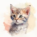 A watercolor illustration painting of a kitten generative AI Royalty Free Stock Photo