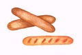 Watercolor illustration On paper with a well-defined texture. National Hot Dog Day. Watercolor sausage closeup isolated Royalty Free Stock Photo