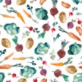 Watercolor illustration. Parsley, herb, beetroot, radish, cabbage, potatoes isolated on white bacgkound. Seamless pattern