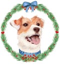 Watercolor illustration, parson russell terrier dog in a frame of branches. Botanical New Year card.