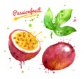 Watercolor illustration of passionfruit