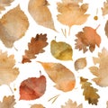 Watercolor illustration, pattern. Autumn leaves, watercolor texture Royalty Free Stock Photo