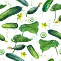 Watercolor illustration, pattern. Cucumbers on a white background