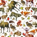 Watercolor illustration, pattern. Forest animals on a white background. Elk, wolf, fox, hare, squirrel, hedgehog, tit, bullfinch, Royalty Free Stock Photo