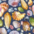 Watercolor illustration. Pattern of sea shells and sea stones on a gray background. Summer theme, beach and relaxation Royalty Free Stock Photo