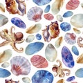 Watercolor illustration, pattern. Sea pattern, shells, sea stones, octopus. White background Royalty Free Stock Photo