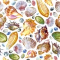 Watercolor illustration. Pattern of sea shells and sea stones on a white background. Summer theme, beach and relaxation