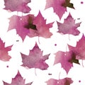 Watercolor illustration. Pattern of transparent pink maple leaves.