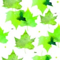 Watercolor illustration. Pattern of transparent warm green maple leaves