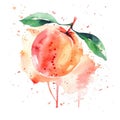 watercolor illustration of a peach splashed with vibrant colors