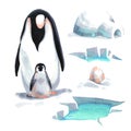 Watercolor penguin and his baby on the snow with ice Royalty Free Stock Photo