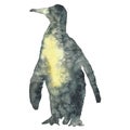 Watercolor illustration of a penguine silhouette