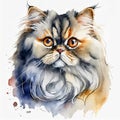 Watercolor illustration of Persian cat isolated on white