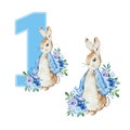 Watercolor illustration of Peter Rabbit First Birthday