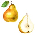 Watercolor illustration. Picture of a pear and a half of a pear. Royalty Free Stock Photo