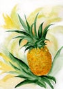 Watercolor drawing of a pineapple. Illustration. Printable.