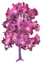 Watercolor illustration of pink fantasy tree on white background