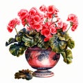 Watercolor Illustration Of Pink Geranium Flower In Opulent Vase