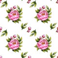 Pattern flowers peonies and buds watercolor Royalty Free Stock Photo