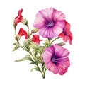 Watercolor Illustration Of Pink And Purple Flowers