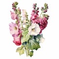 Watercolor Illustration Of Pink And White Hollyhocks Bouquet Royalty Free Stock Photo