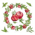 Watercolor illustration with pomegranate fruits, pomegranate wreath and pomegranate leaves. Royalty Free Stock Photo