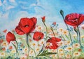 Watercolor illustration of poppies, daisies and forget-me-nots on a blue sky background. Hand drawn.