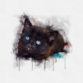 Watercolor illustration, Portrait of a little black cat with blue eyes