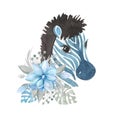 Watercolor illustration portrait of a Zebra in flowers Cartoon animal for kids design Royalty Free Stock Photo