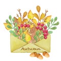 Watercolor illustration. Postcard, autumn letter with elements of autumn, leaves, twigs, seeds, acorns