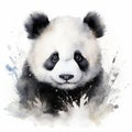 Watercolor Illustration Of A Powerful Panda Bear