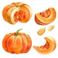 Watercolor illustration. Pumpkin in different angles, a whole pumpkin, a cut pumpkin, a piece of pumpkin, pumpkin seeds.