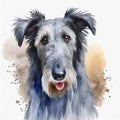 Watercolor illustration of pure breed Scottish Deerhound dog. Hand drawn pet. Canine companion