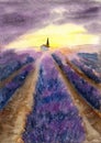 Watercolor illustration of a purple lavender field against a yellow sunset sky Royalty Free Stock Photo