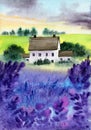 Watercolor illustration of a purple lavender field with a distant streak of trees