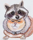 Raccoon and the red cat