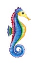 Watercolor illustration of a rainbow seahorse. Royalty Free Stock Photo
