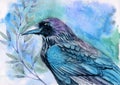 Watercolor illustration of a raven with black and blue iridescent feathers