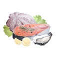Watercolor illustration of raw salmon steak with lemon, peppercorns, oyster, octopus, rosemary and lettuce isolated on