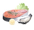 Watercolor illustration of raw salmon steak with lemon, peppercorns, oyster, rosemary and lettuce isolated on white