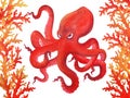 Watercolor illustration with red angry cartoon octopus between corals. Royalty Free Stock Photo