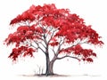 Watercolor Illustration of Red Buckeye Tree on White Background AI Generated