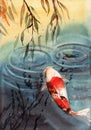 Watercolor illustration of red japanese koi carp in a blue lake