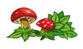 Watercolor illustration of red mushrooms on white background.