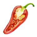 Watercolor illustration. Red pepper. Half a bell pepper. Royalty Free Stock Photo