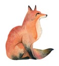 Watercolor illustration of red wild fox on white background. Realistic forest animal sketch Royalty Free Stock Photo